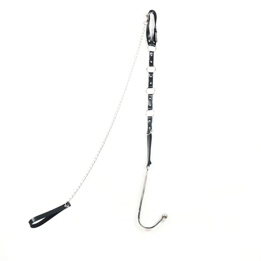 EverydayUse Leash Kinky and 5853 with Anal Collar Hook 1013